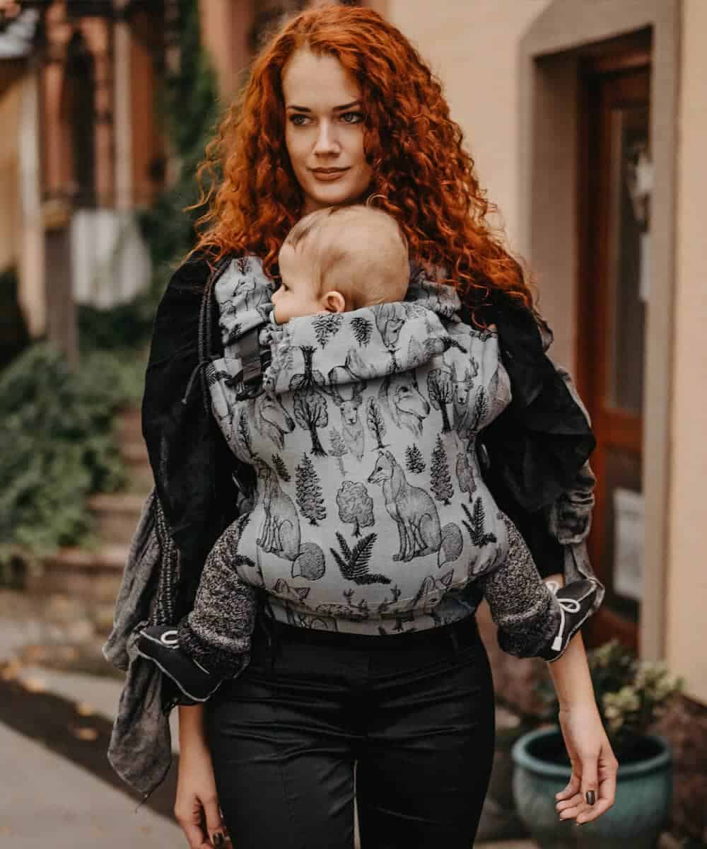 Ergonomický nosič Flexible je vhodný už od veľkosti 50/56 (novorodenec) do veľkosti 92/98 (24-30 mesiacov).

Rischino Flexible je flexibilný ku mieram dieťatka. Nastavuje sa do výšky aj do šírky presne podľa potreby, má jedinečné riešenie nastavenia fixácie hlavičky. Nosič je možné nosiť vpredu, vzadu na chrbte alebo na boku. Klasické ramenné pásy sa dajú aj krížiť.

Bedrový pás je vyvinutý špeciálne pre mamičky po pôrode na nosenie už od novorodenca. Jeho mäkkosť a šírka umožňujú nosiť už od prvých dní, nestláča maternicu, neprenáša do nej ťažisko a umožňuje jej tým lepšiu regeneráciu počas prvých mesiacov nosenia.
<div id="div_block-165-40" class="ct-div-block breakout--full rs-gradient-section">
<div id="div_block-15-40" class="ct-div-block wa-product-tabs wa-product-tabs-wrapper ct-section-inner-wrap">
<div id="_tabs_contents-87-40" class="oxy-tabs-contents-wrapper oxy-tabs-contents pad--xl">
<div id="_tab_content-88-40" class="oxy-tab-content tabs-contents-6091-tab">
<div id="div_block-196-40" class="ct-div-block ">
<div id="div_block-198-40" class="ct-div-block ">
<div id="shortcode-285-40" class="ct-shortcode wa-product-info__wrapper">
<div class="wa-product-info">

<strong>V prípade záujmu o iný vzor nám napíšte, prosím.</strong>

</div>
</div>
</div>
</div>
</div>
</div>
</div>
</div>
<div id="div_block-265-40" class="ct-div-block"></div>
<div class="chakra-text wa-product-description css-h773az">
<h5 class="podnadpisproduktu"></h5>
</div> - 